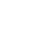icono-bug